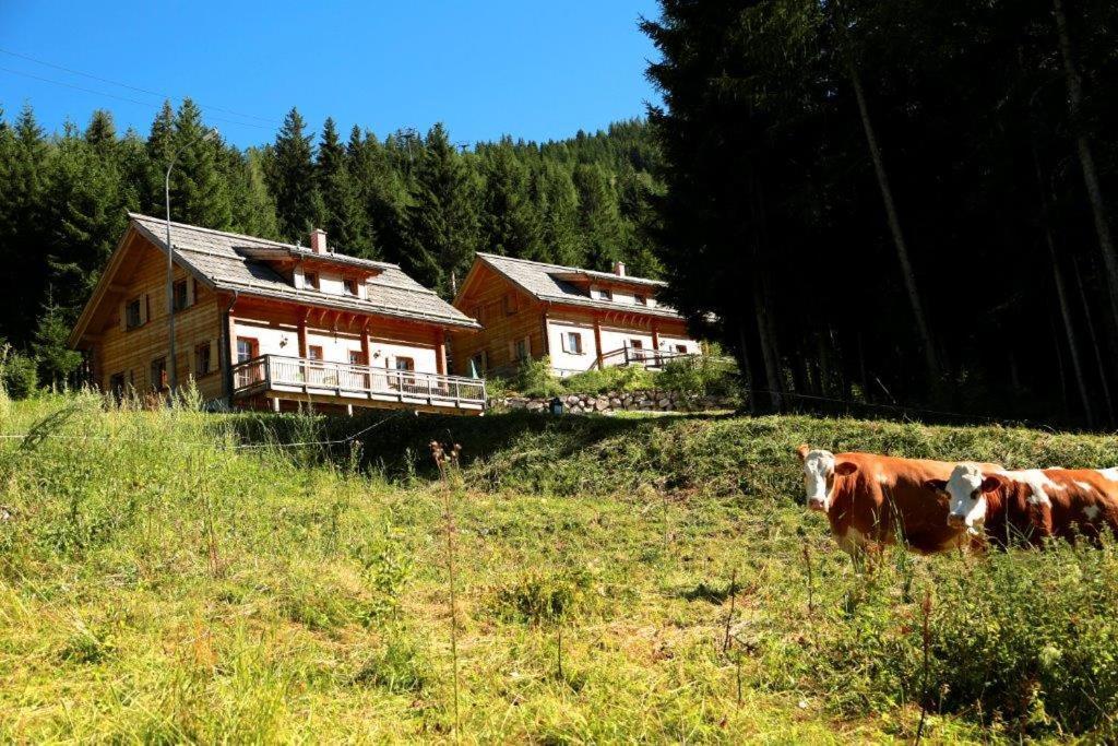Huttendorf Pruggern Villa Kültér fotó